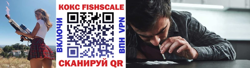 КОКАИН FishScale  Купить закладки  Новосокольники 