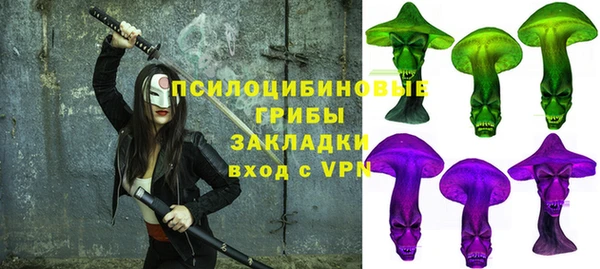 МДПВ Гусиноозёрск