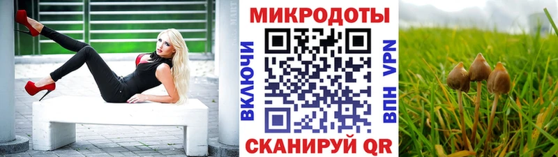 Галлюциногенные грибы GOLDEN TEACHER  Купить где  Новосокольники 